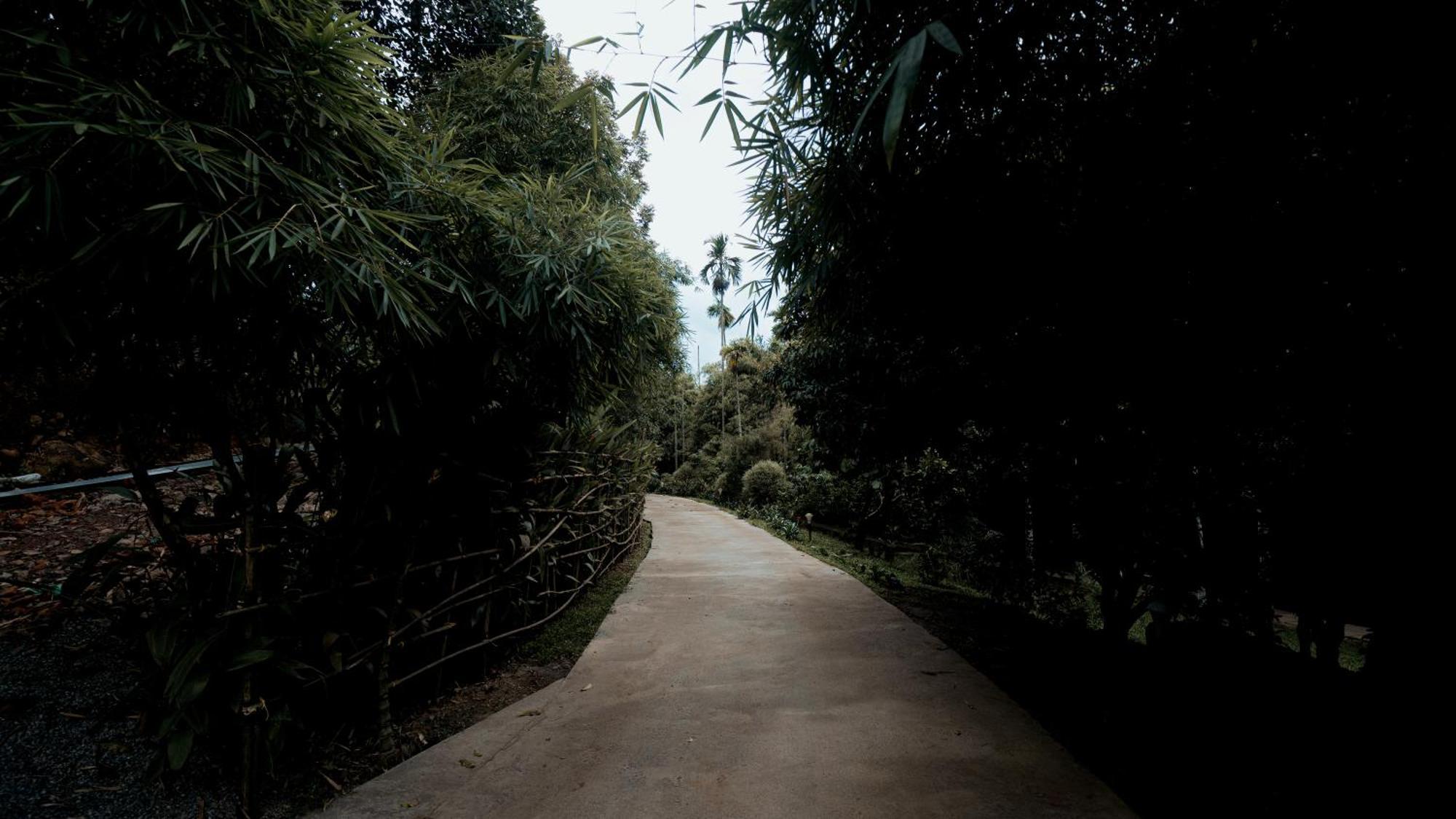 Vythiri Holiday Resort, Wayanad Exterior photo